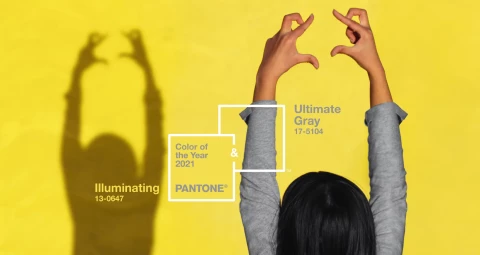 Pantone color of the year 2021 - Ultimate Gray en Illuminating